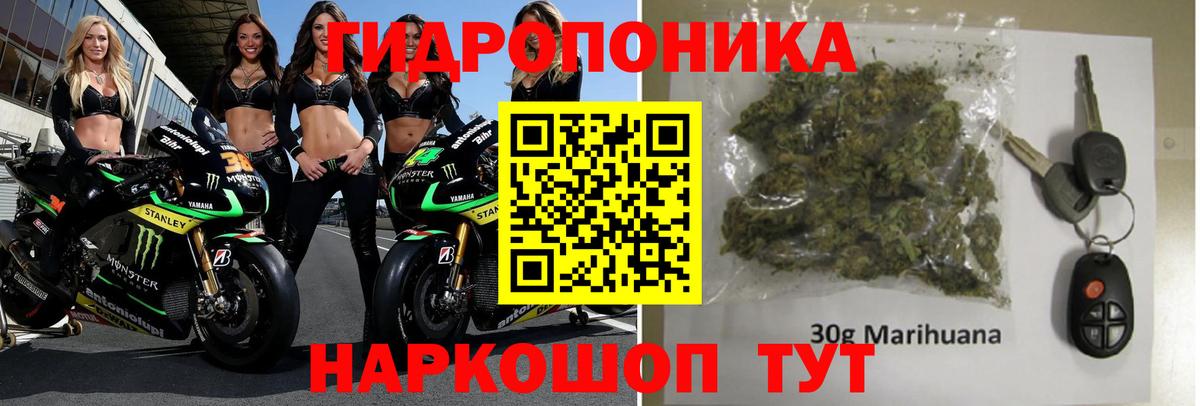 Марихуана Ganja Мурино