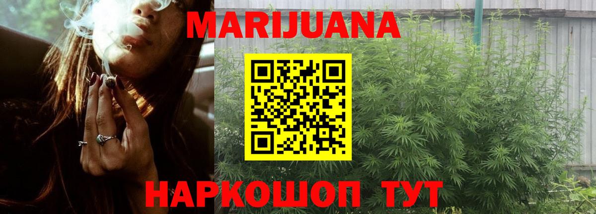 Галлюциногенные грибы Мурино