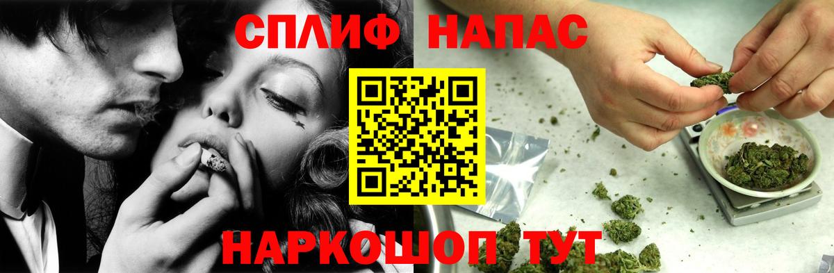 Бошки Шишки планчик Мурино